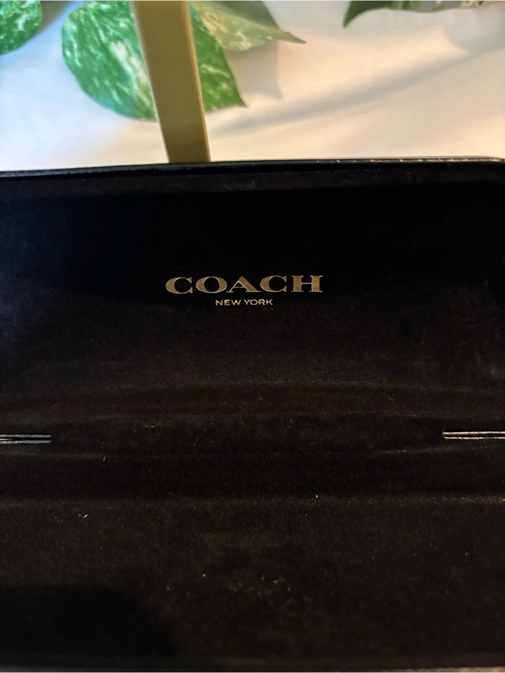 COACH Black Eyewear Case